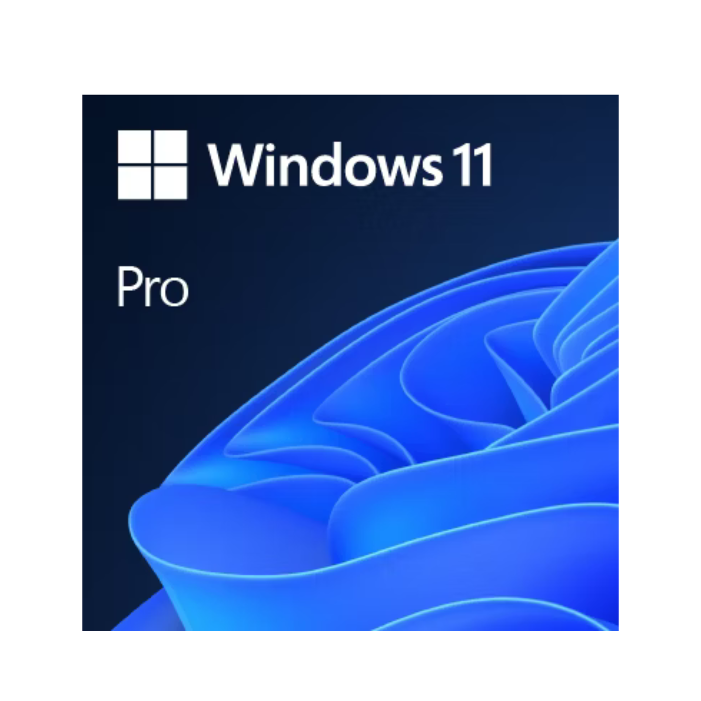 Licence Microsoft Windows 11 Pro