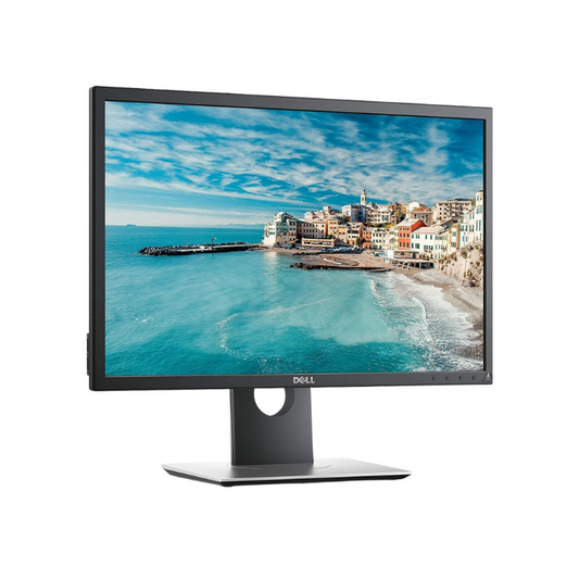 Ecran 22" Dell P2217